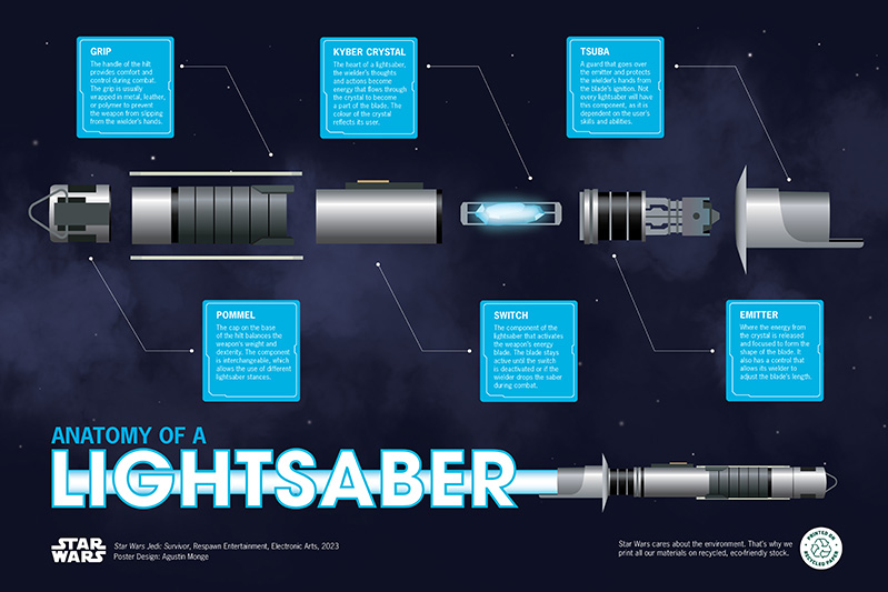 digital image of Infographic